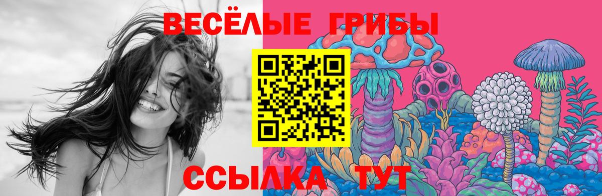 Псилоцибиновые грибы прущие грибы Верхний Уфалей
